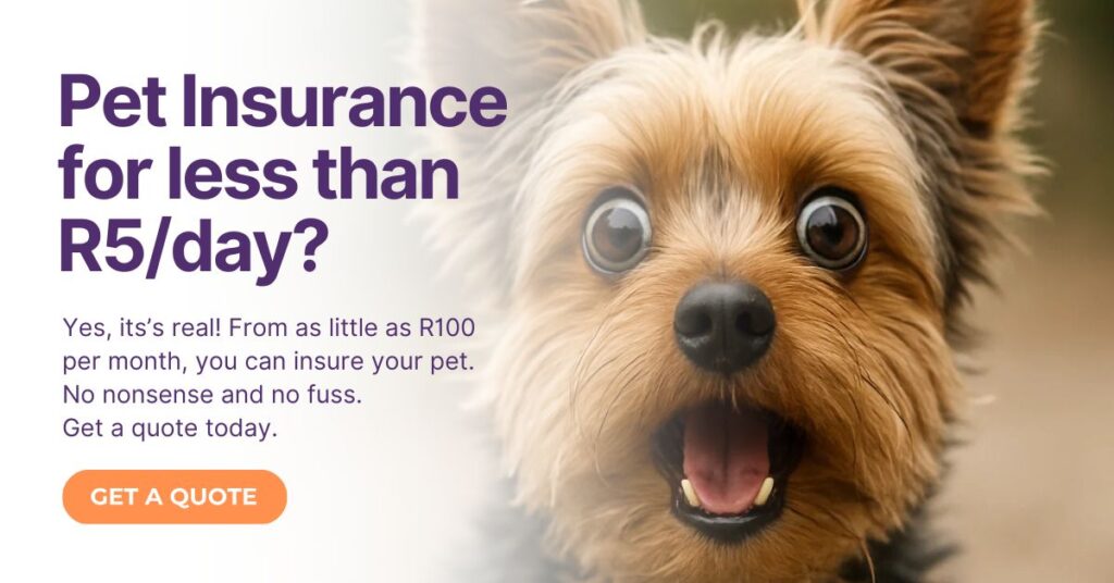 pet-insurance-from-R5-per-day-south-africa